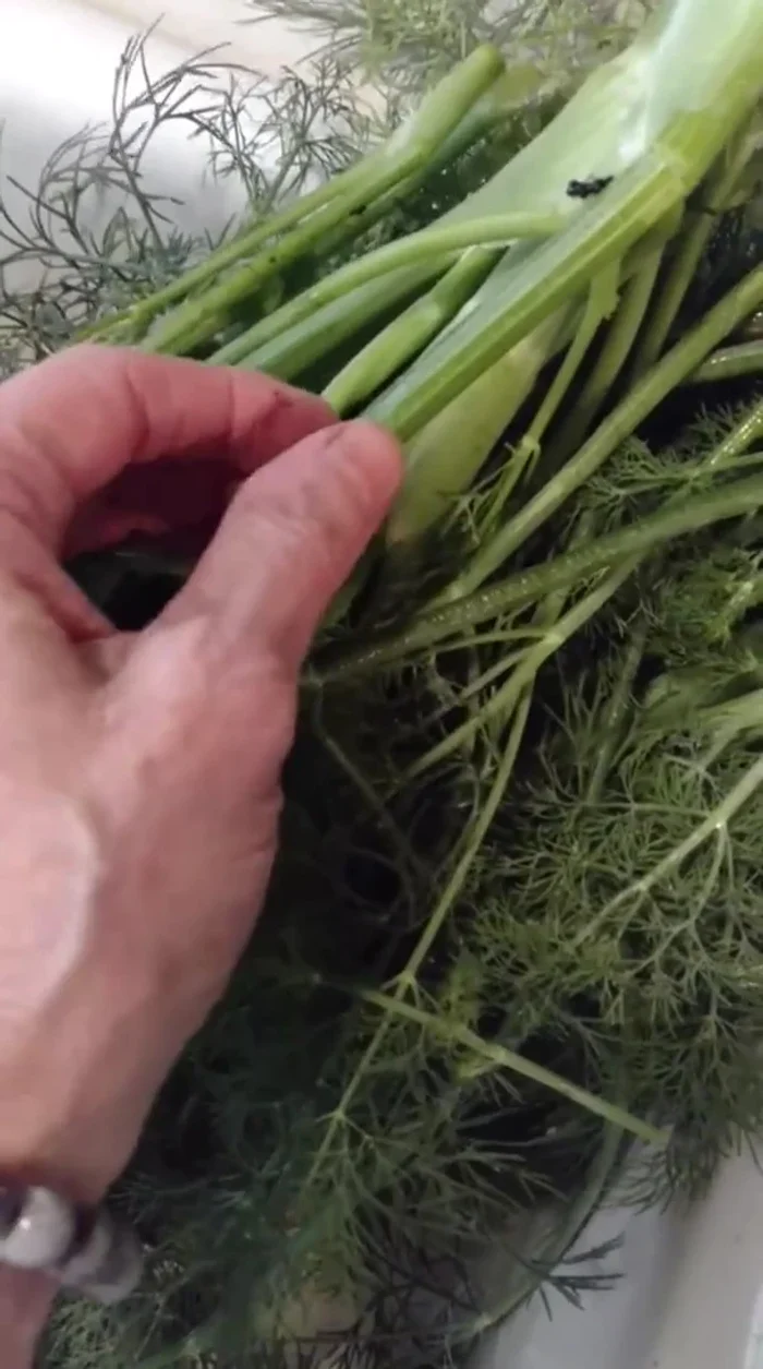 Finely chop the fennel stems. If you encounter tough fibers, remove them (45.149).