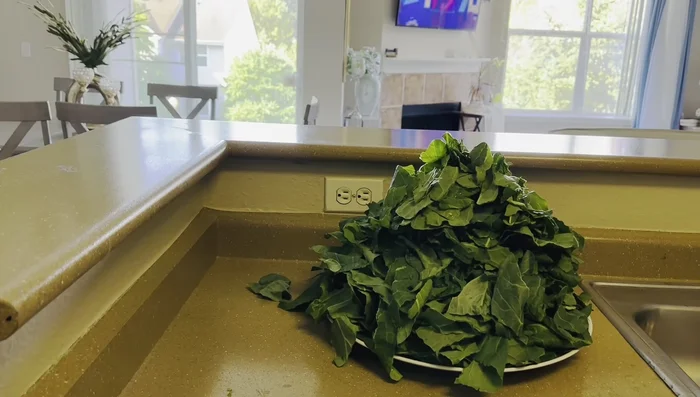 Wash and thoroughly clean the collard greens.