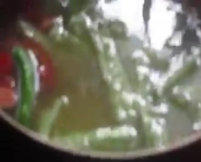 Add the sliced bitter gourd to the pot.
