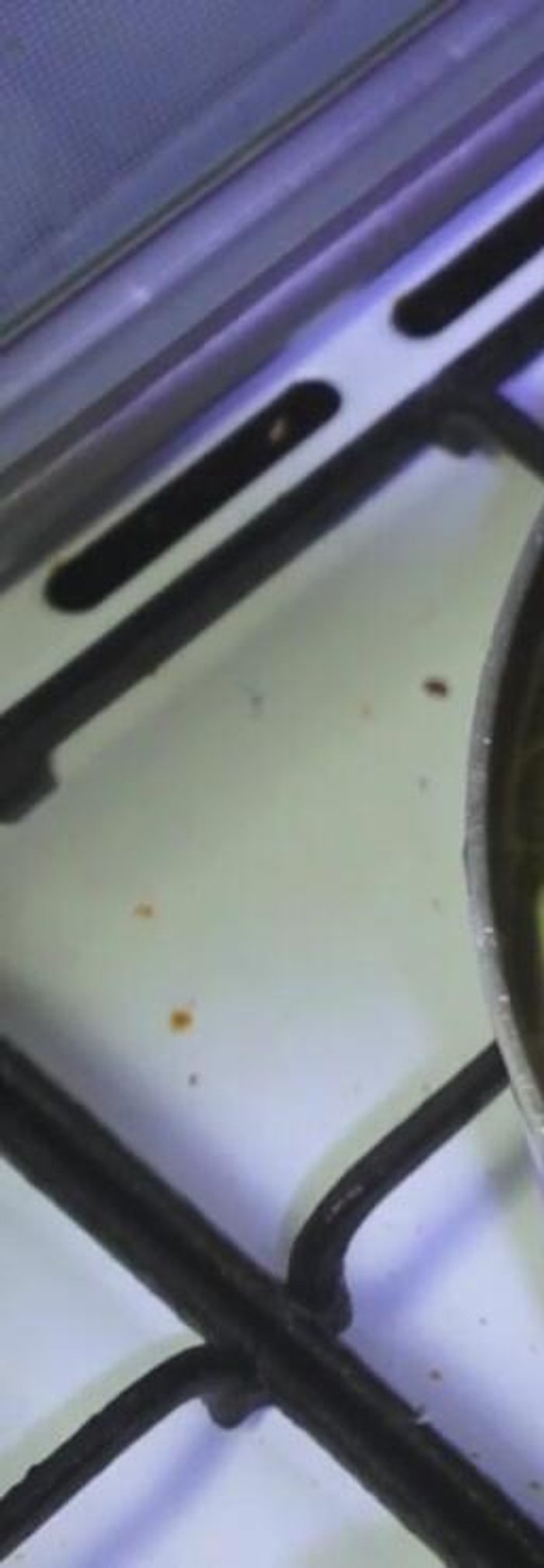 Add potatoes at the very end of cooking.