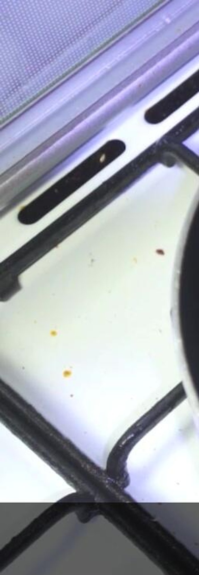 Put the pot on the gas. Add meat with bones slowly.