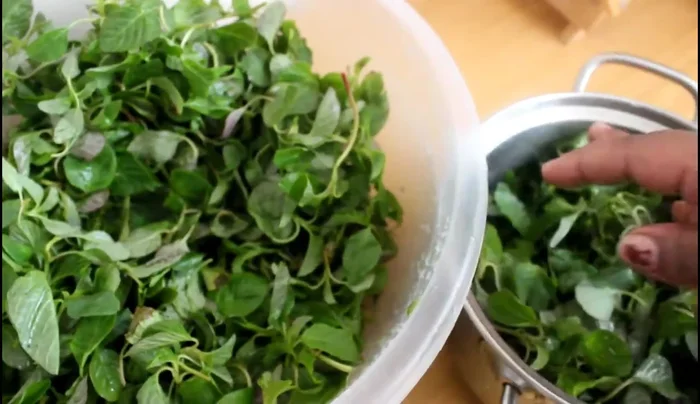 Place the washed vegetables into a pot.